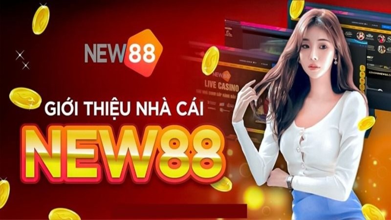 Tìm hiểu một số thông tin về nhà cái cá cược online New88